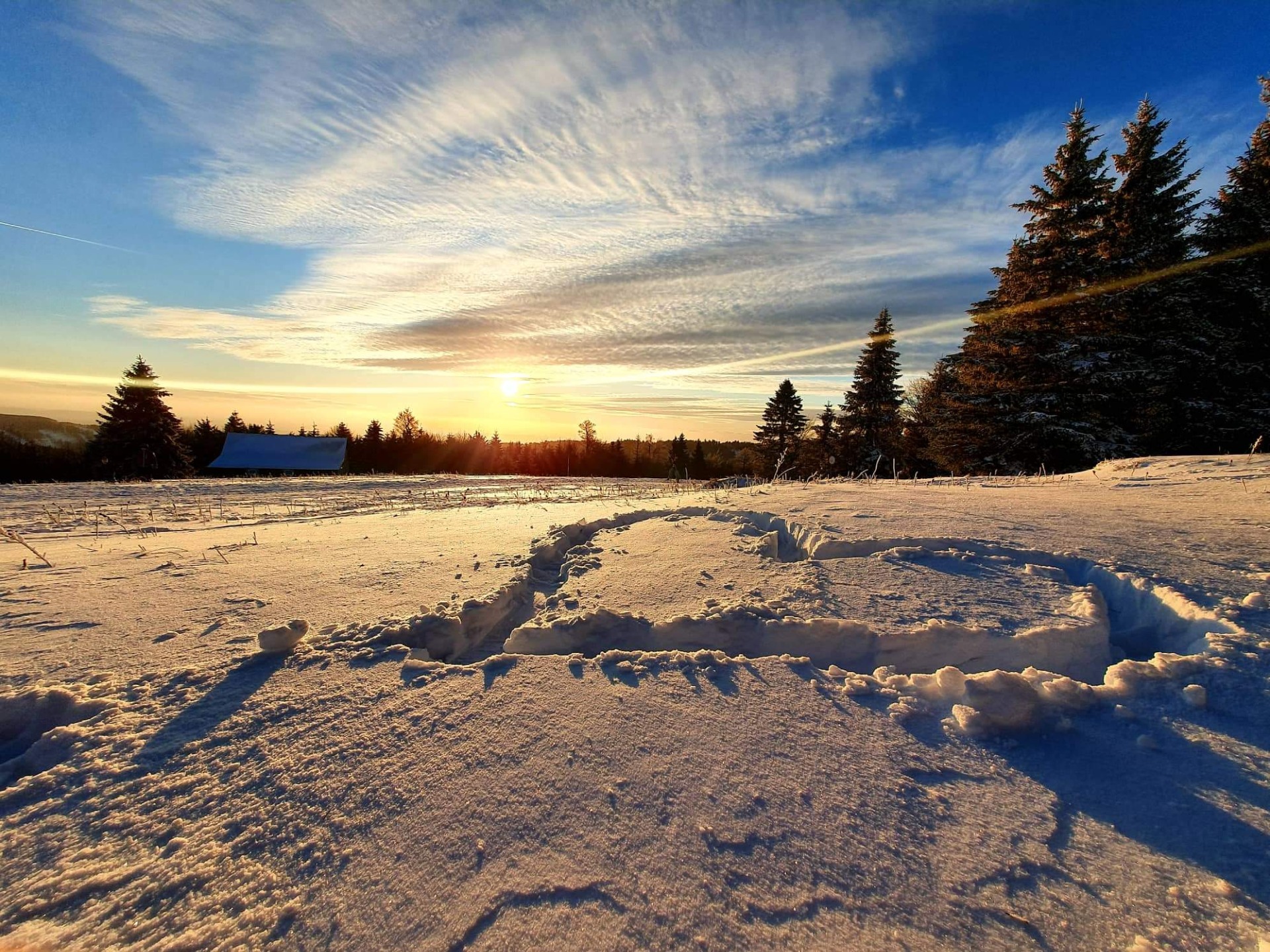 Ledové srdce - Rostislav Švíka