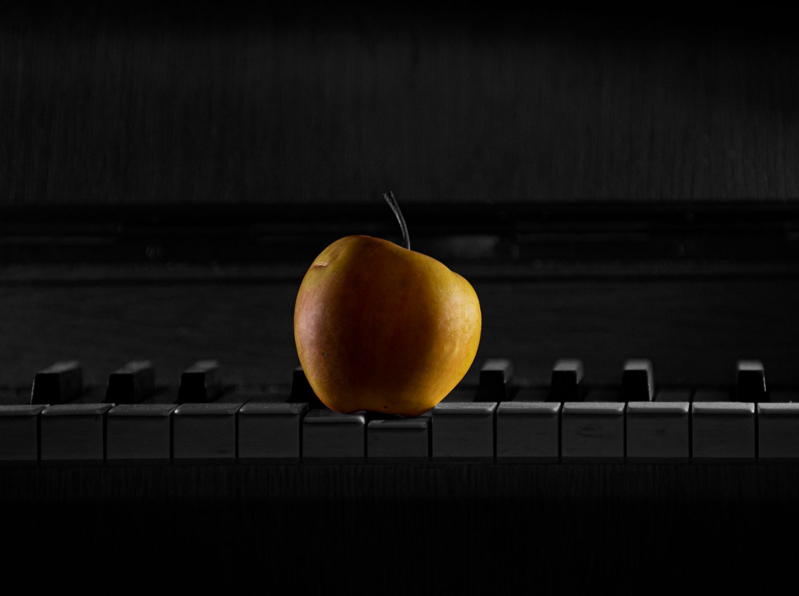 Souznění - Adam Hejzlar